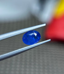 ياقوتة سيلانية معتمدة 1.80 قيراط للبيع - ياقوتة زرقاء طبيعية - حجر بخت شهر سبتمبر