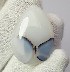 Rare Butterfly Pattern inside Natural Dendritic Agate Gemstone - Collector Gemstone - 31.1 cartats
