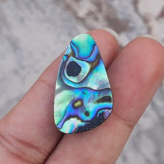 صدفة أذن البحر 16 قيراط - هاليوتيس إيريس، أصداف باوا، صدف، عرق اللؤلؤ، أولون، أذن البحر -27 × 17 ملم