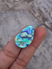 صدفة أذن البحر 20.7 قيراط - هاليوتيس إيريس، أصداف باوا، صدف، عرق اللؤلؤ، أولون، أذن البحر - 28 × 18 ملم