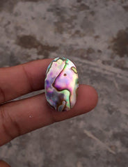 صدفة أذن البحر 27.8 قيراط - هاليوتيس إيريس، أصداف باوا، صدف، عرق اللؤلؤ، أولون، أذن البحر -28.5 × 17.5 ملم