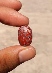 14.5ct Jasper - Blood Jasper Cabochon - Red Jasper - 19.6 x 12.7mm