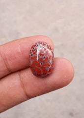 14.5ct Jasper - Blood Jasper Cabochon - Red Jasper - 19.6 x 12.7mm