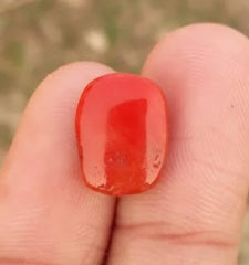 6.2ct Moonga Stone - Marjan Stone - Pagadam Stone - 14.5x11mm