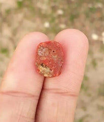 6.2ct Moonga Stone - Marjan Stone - Pagadam Stone - 14.5x11mm