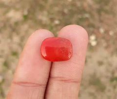 6.2ct Moonga Stone - Marjan Stone - Pagadam Stone - 14.5x11mm