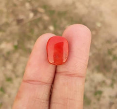 6.2ct Moonga Stone - Marjan Stone - Pagadam Stone - 14.5x11mm