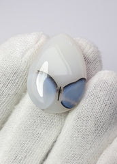 Rare Butterfly Pattern inside Natural Dendritic Agate Gemstone - Collector Gemstone - 31.1 cartats