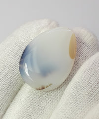 Rare Butterfly Pattern inside Natural Dendritic Agate Gemstone - Collector Gemstone - 31.1 cartats