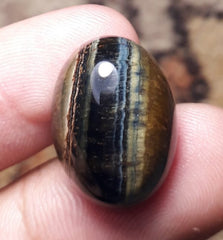 كابوشون عين الصقر 23.3 قيراط، عين الصقر، عين النمر الأزرق، الأسبستوس الأزرق - 20 × 15 ملم