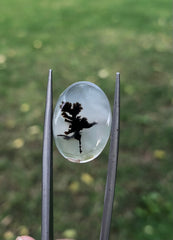 أحجار كريمة من العقيق الشجري الطبيعي - أحجار كريمة مجمعة - 9.7 قيراط