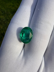 5.97ct Natural Emerald - Budh Ratna - Zamurd - Pachu Stone, Markat Mani Stone - 13x9.6x6.8mm