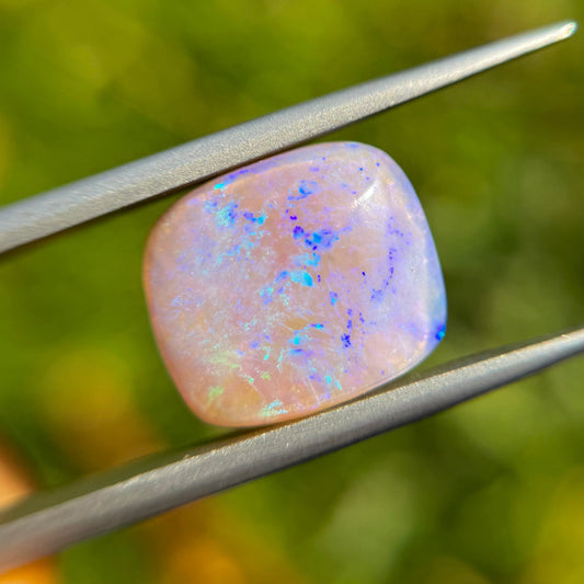 Opal stone held between tweezers with a blurred green background