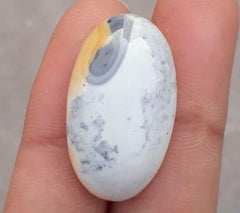 25.9 قيراط جاسبر - ماليجانو جاسبر كابوشون - جاسبر ماليجانو - 28x17 ملم