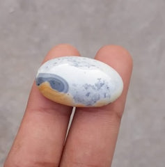 25.9 قيراط جاسبر - ماليجانو جاسبر كابوشون - جاسبر ماليجانو - 28x17 ملم