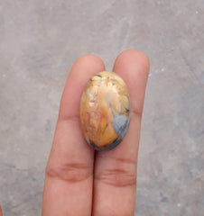 34.8 قيراط جاسبر - ماليجانو جاسبر كابوشون - جاسبر ماليجانو - 29x19 ملم