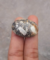 49.6 قيراط جاسبر - ماليجانو جاسبر كابوشون - جاسبر ماليجانو - 30.5 × 22 ملم