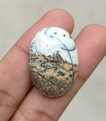 42.2 قيراط جاسبر - كابوشون جاسبر ذو مناظر طبيعية - 32x23x7 ملم