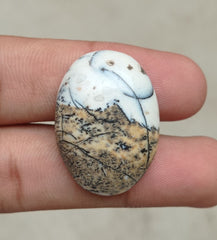 42.2 قيراط جاسبر - كابوشون جاسبر ذو مناظر طبيعية - 32x23x7 ملم