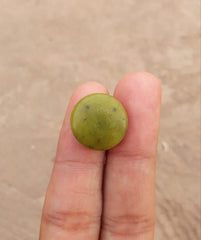 كابوشون سيربنتين 17.4 قيراط - شاه مقصود - زهرمورا - 17.2x17.5 ملم