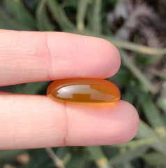 23ct Natural Carnelian Gemstone- Yellow Aqeeq - 17x24mm