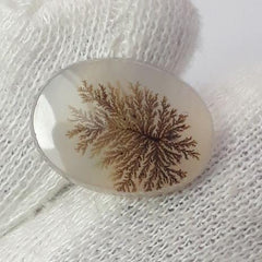 5.8ct Natural Dendritic Agate - Shajri Aqeeq - Dimension-17x13mm