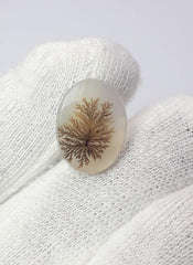 5.8ct Natural Dendritic Agate - Shajri Aqeeq - Dimension-17x13mm