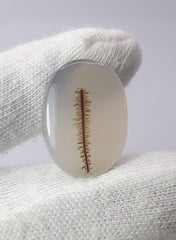 عقيق شجري طبيعي 22.1 قيراط - عقيق شجري - الأبعاد - 26 × 18 ملم