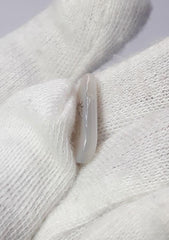 عقيق شجيري طبيعي 4.2 قيراط - عقيق خشبي - الأبعاد - 18 × 9 ملم