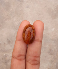 العقيق الأنبوبي