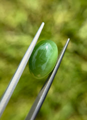 9.1ct - Green Cat’s Eye Nephrite Jade