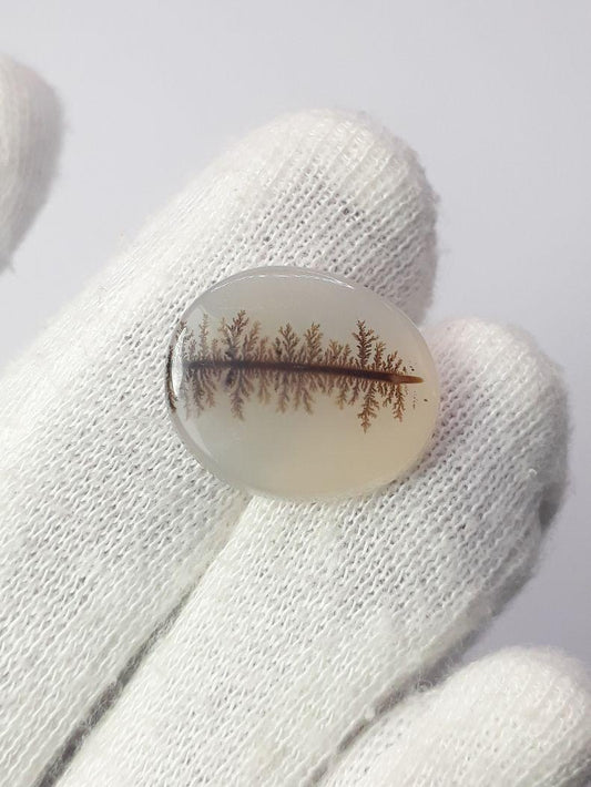 10.8ct Natural Dendritic Agate - Shajri Aqeeq - Dimension-19x16mm