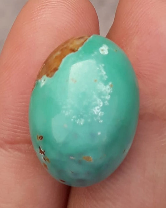19.3ct Natural Variscite Cabochon - Dimensions  -21x15.5mm
